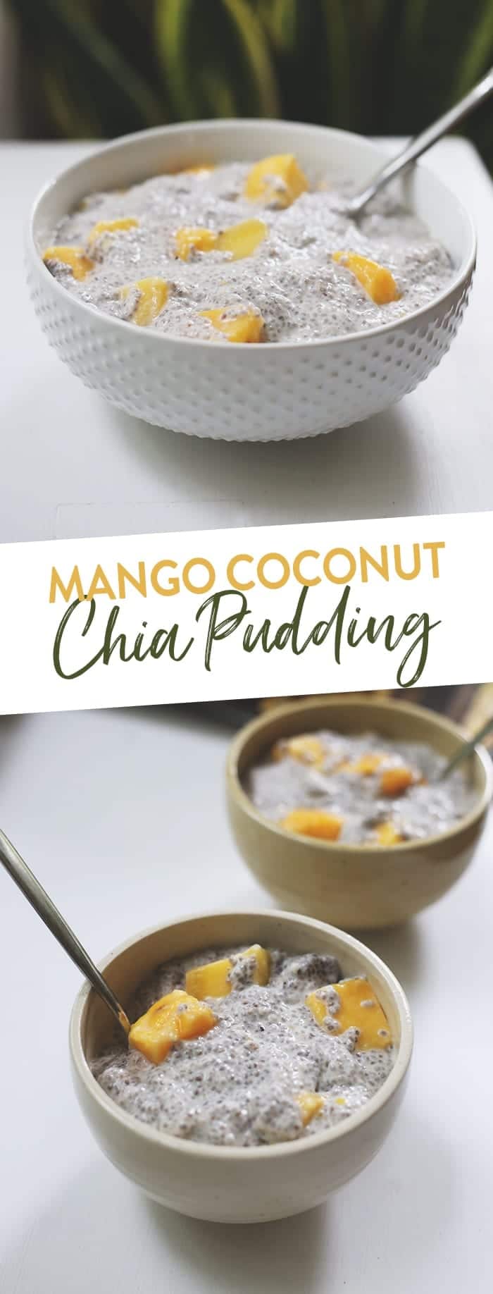 Mango Coconut Chia Pudding {3 Ingredients!} - The Healthy Maven