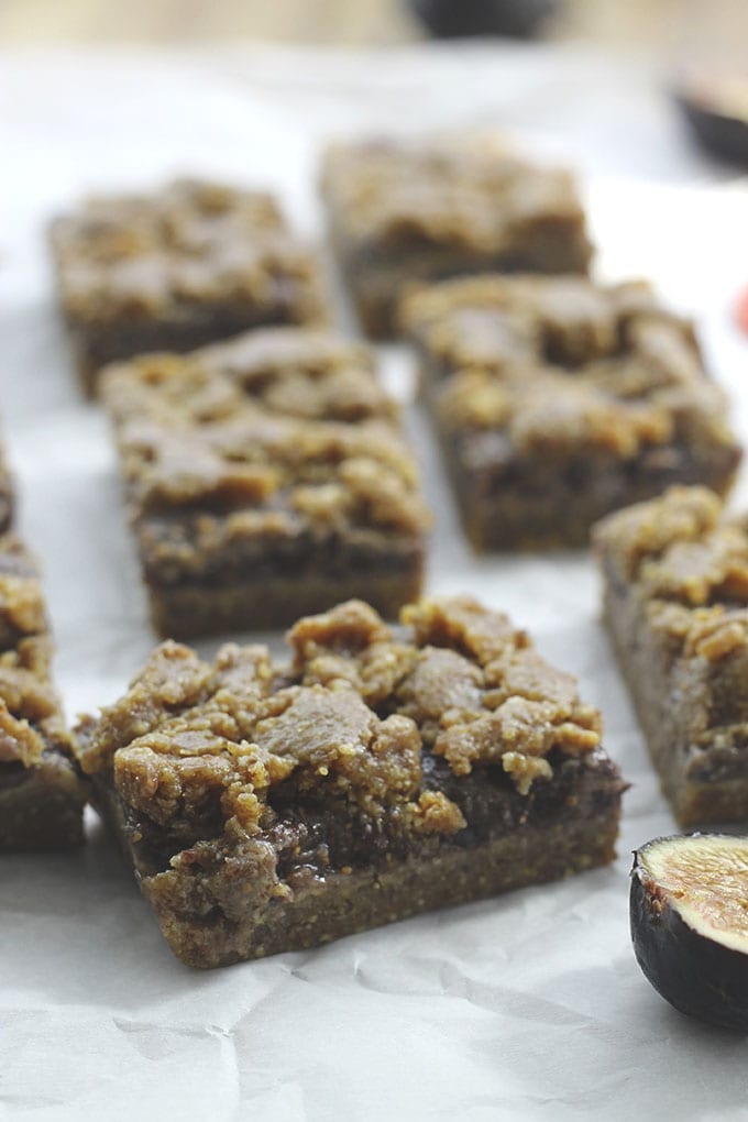 Raw Fig Bars 2