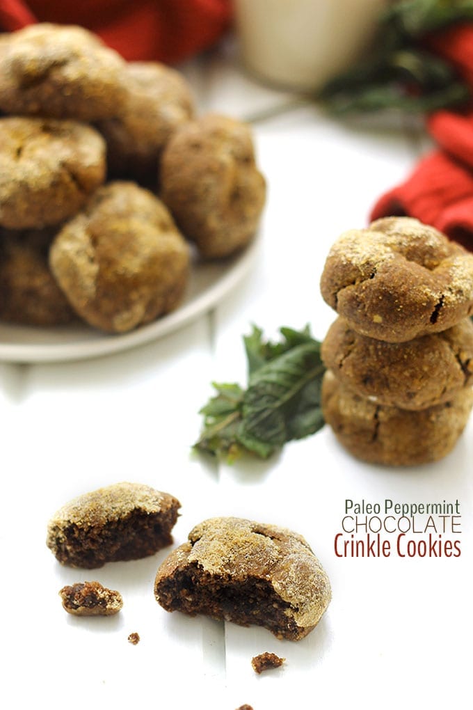 paleo peppermint chocolate crinkle cookies a delicious and healthy holiday cookie recipe for the mint - Peppermint Christmas Cookies paleo peppermint chocolate crinkle cookies a delicious and healthy holiday cookie recipe for the mint - Peppermint Christmas Cookies