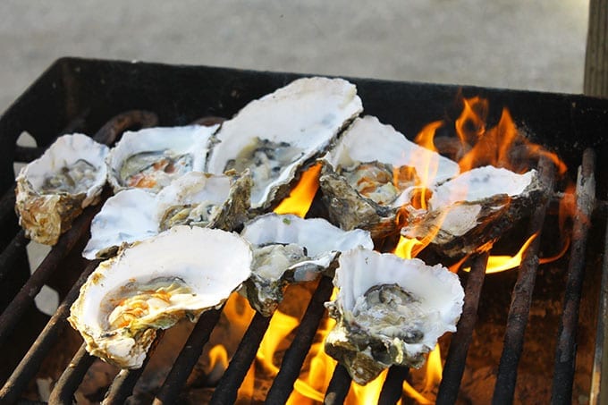 oyster grilling