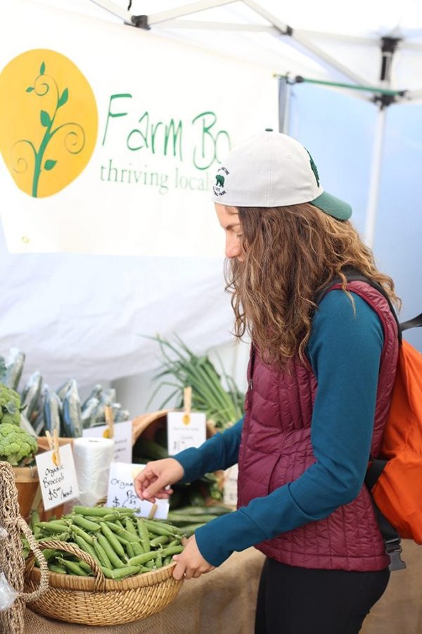 Where To Stay, Go and Eat in Banff National Park The Healthy Maven