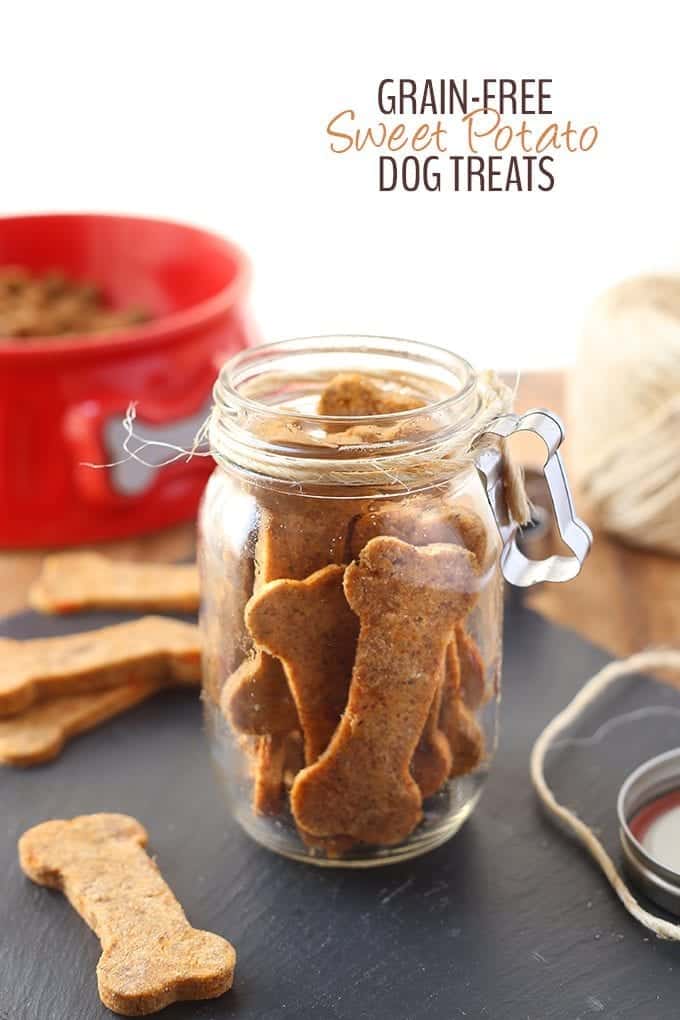 Treat your pup with these Grain-Free Sweet Potato Dog Treats made from just 5 wholesome and healthy ingredients. Your dog will love eating them as much as you enjoy spoiling them!