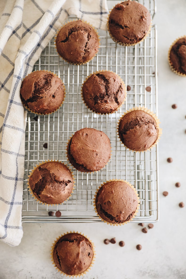 chocolate gingerbread muffins 06
