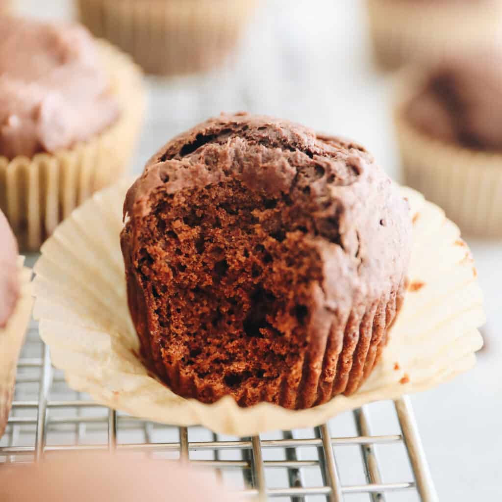 Chocolate Gingerbread Muffins