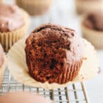 chocolate gingerbread muffins 12