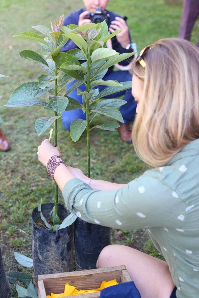 Where Do Avocados Come From? Exploring Mexico! The Healthy Maven