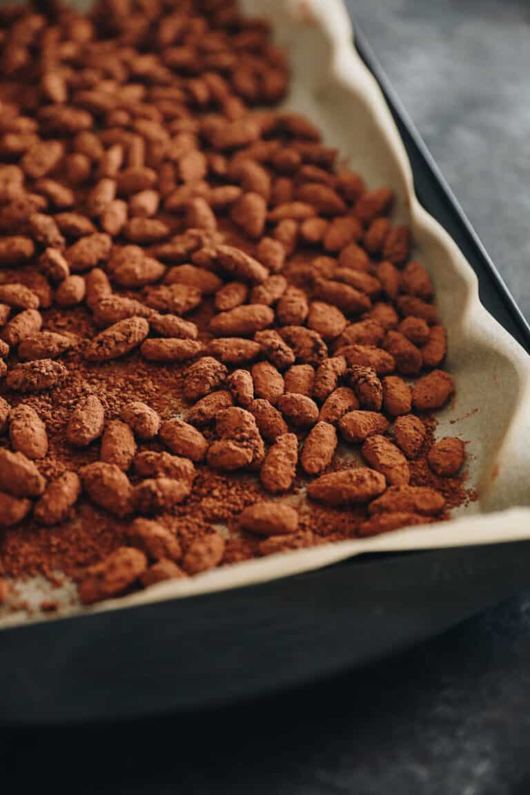 Dark Chocolate Sea Salt Almonds [Copycat TJs!] The Healthy Maven
