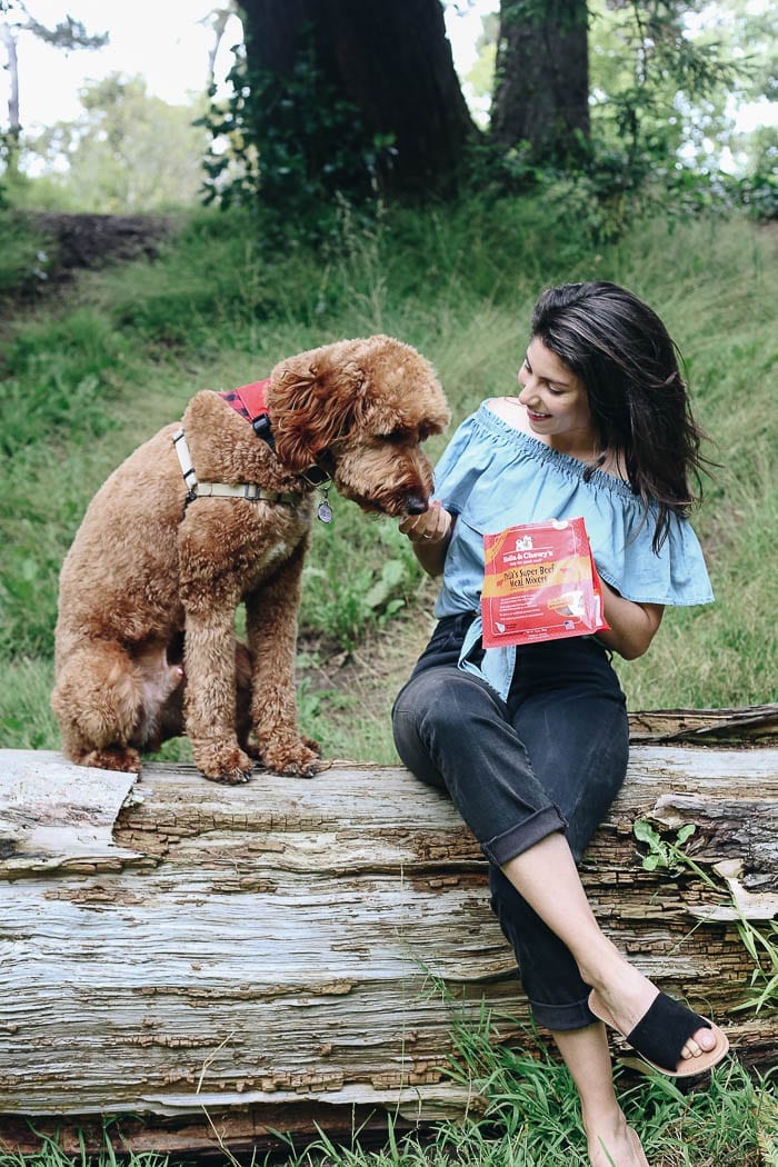 What should you be feeding your dog to ensure they're at their healthiest? This article breaks down what you should look for, avoid and incorporate into your dog's diet.