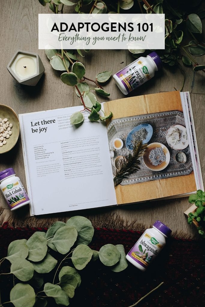 Adaptogens 101 + How To Use Them The Healthy Maven