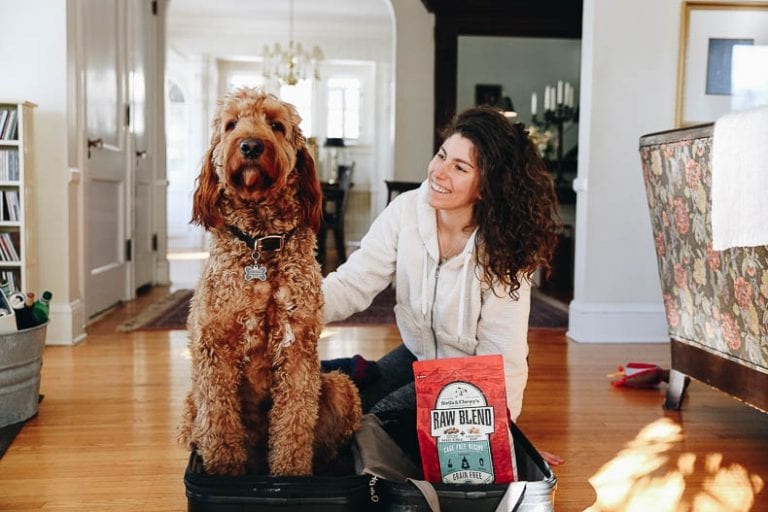 Are you traveling with your dog for the first time or need some extra tips to make it more comfortable for all of you? This article will give you the top tips for traveling with your dog.