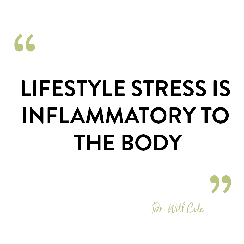 On Episode #65 of That's So Maven Podcast, we're chatting with Dr. Will Cole again all about inflammation and how to keep it at an optimal level. This is Dr. Cole's second visit on the show and we're so excited to have him back!