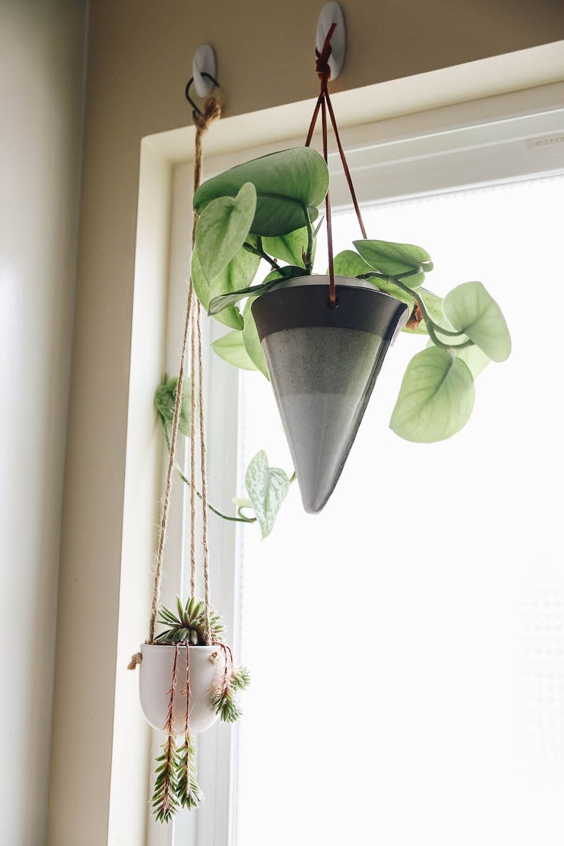 Houseplants seem to be all the rage these days. And for good reason! Of course, they're pretty and trendy but they also have legitimate health and wellness benefits. They're not just background decor - they're actually good for you!