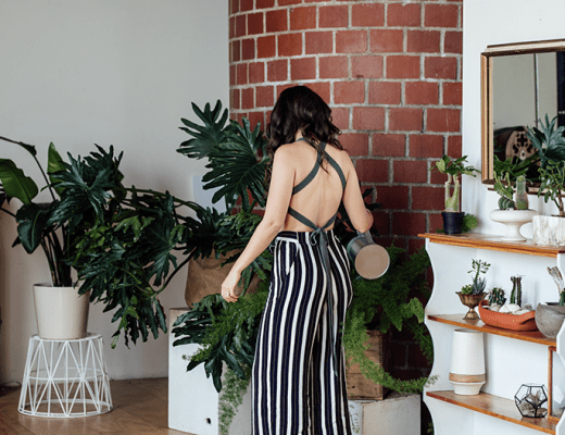 Houseplants seem to be all the rage these days. And for good reason! Of course, they're pretty and trendy but they also have legitimate health and wellness benefits. They're not just background decor - they're actually good for you!