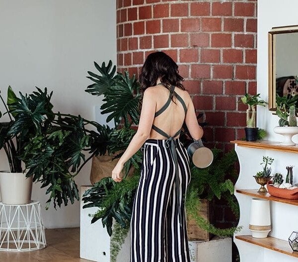 Houseplants seem to be all the rage these days. And for good reason! Of course, they're pretty and trendy but they also have legitimate health and wellness benefits. They're not just background decor - they're actually good for you!