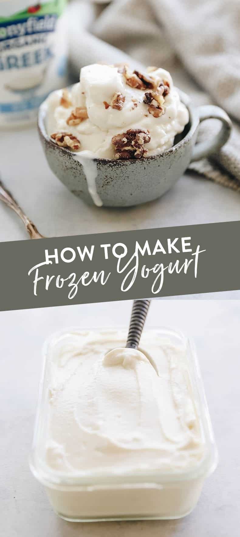 How To Make Frozen Yogurt Just 3 Ingredients! The Healthy Maven