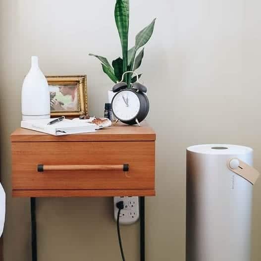Have you considered getting an air purifier or dabbled with the question "do I really need an air purifier?" This post is breaking down the pros and cons and whether or not an air purifier is for you.