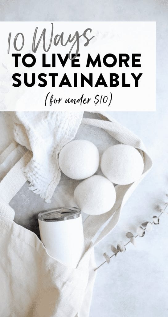 10 Ways To Live More Sustainably for Under $10 - The Healthy Maven
