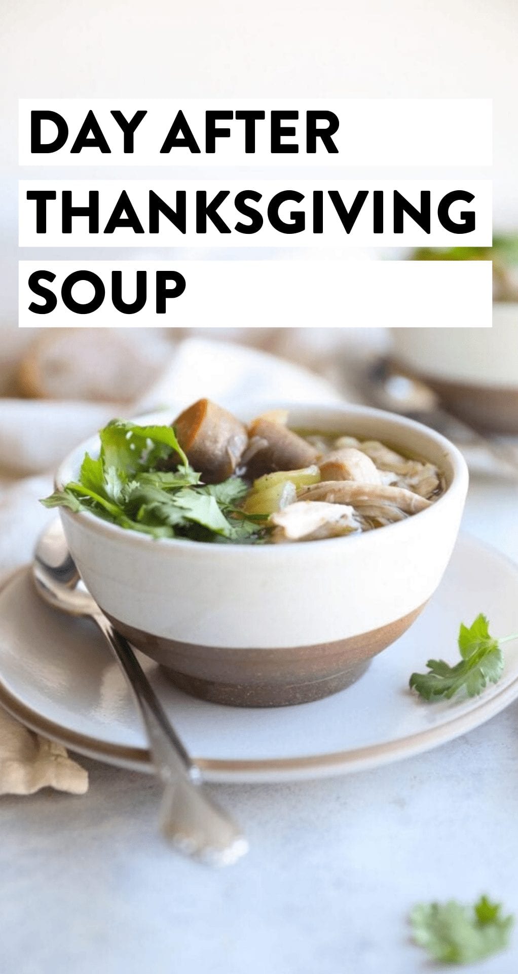 Day-After Thanksgiving Soup [with Turkey Carcass] - The Healthy Maven