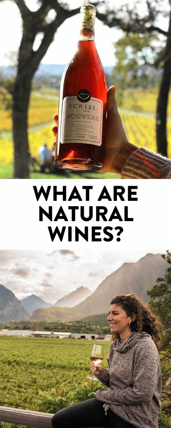 What Are Natural Wines? The Healthy Maven