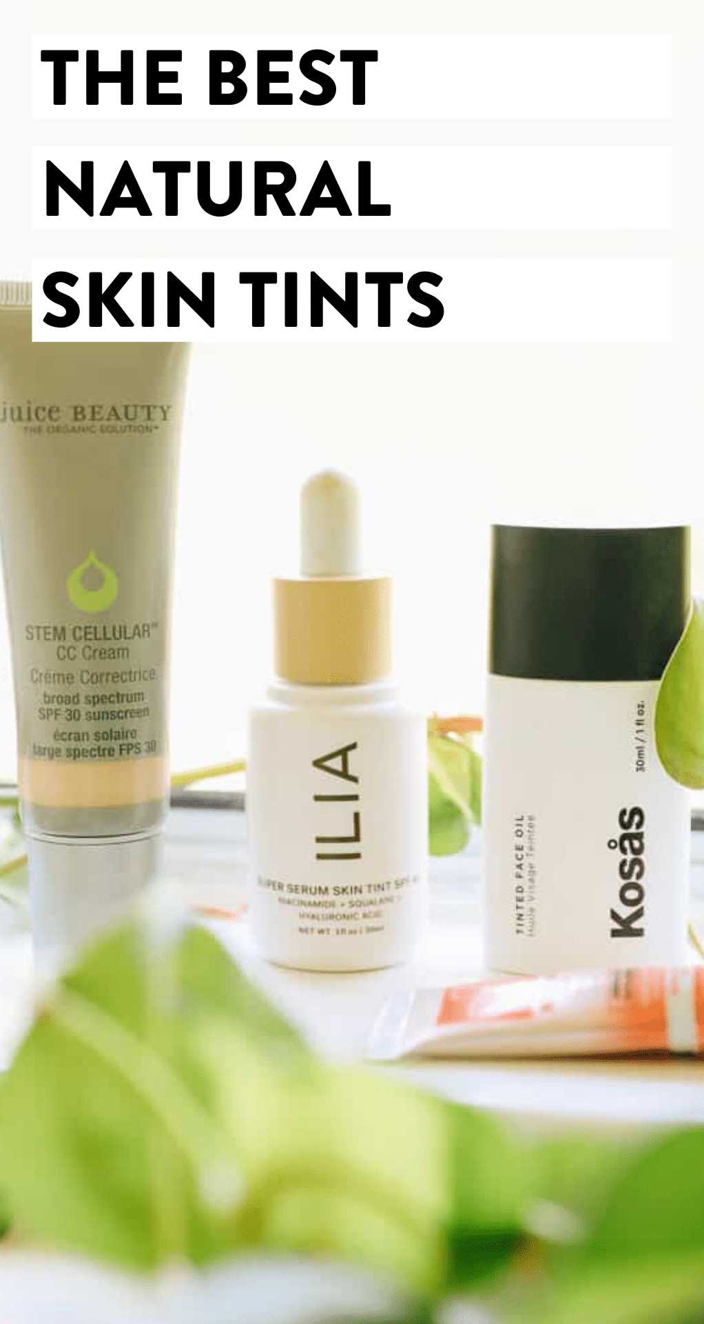 Skin Tints 1a