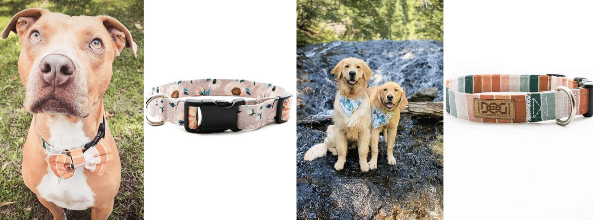 13 Small Shops for Dog Accessories The Healthy Maven