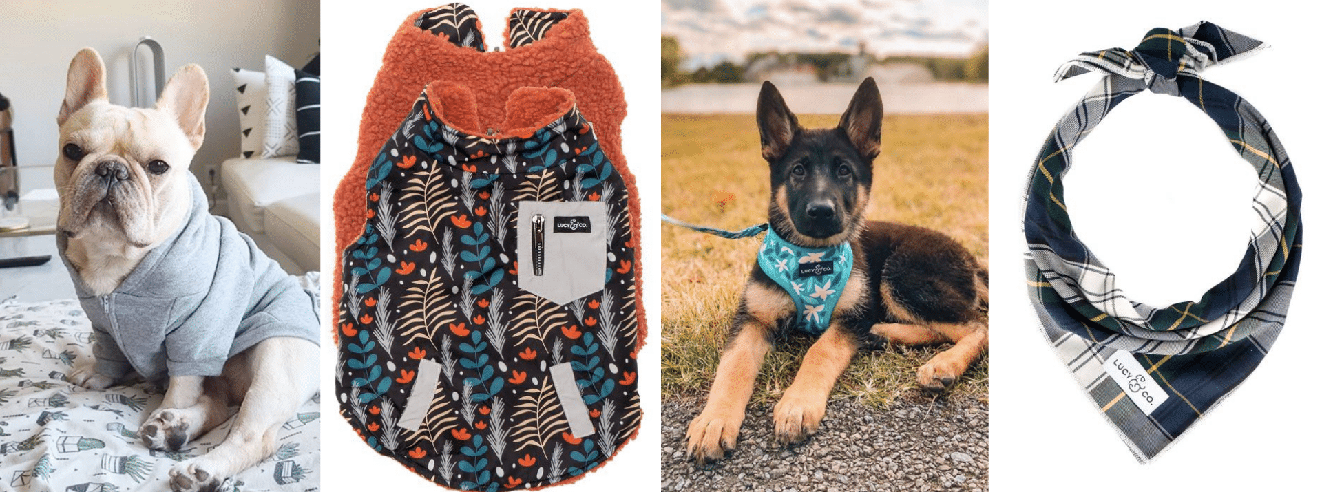 Springboard lugtfri kapre 13 Small Shops for Dog Accessories - The Healthy Maven