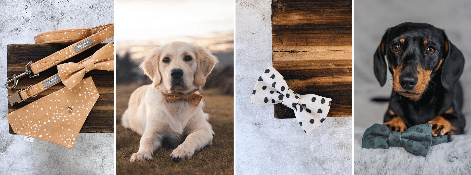 13 Small Shops for Dog Accessories - The Healthy Maven