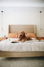 Sustainable Bedding Companies - The Healthy Maven