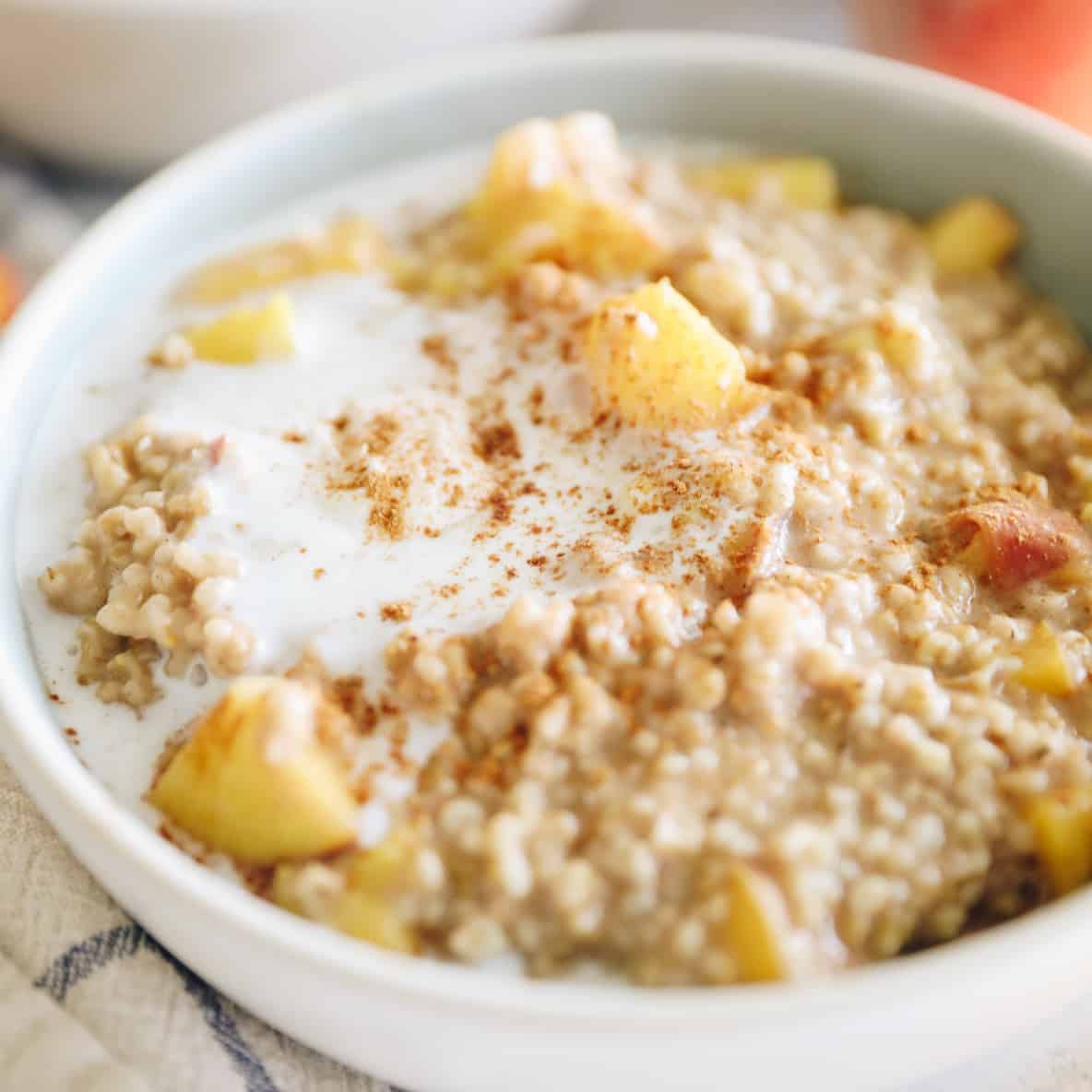 Instant Pot Steel-Cut Oats