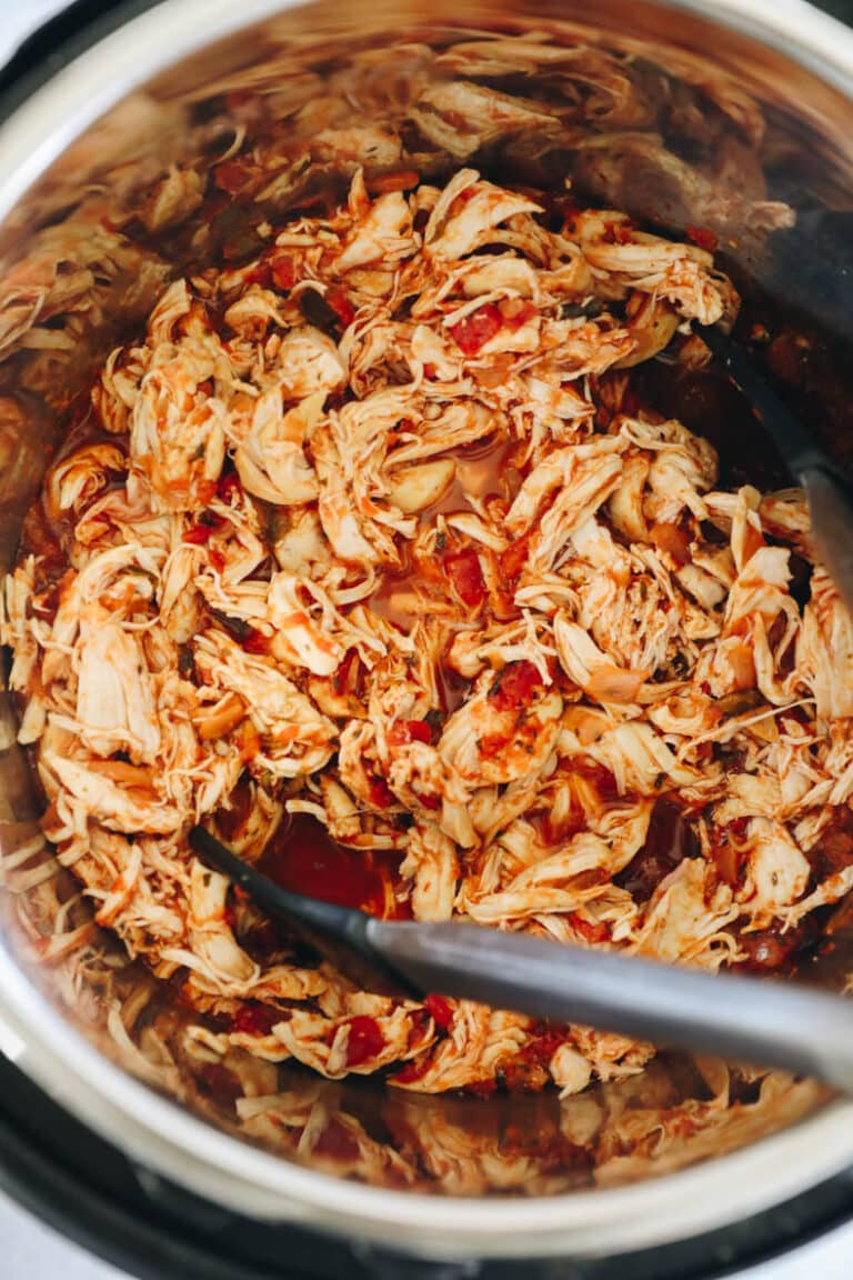 Instant Pot Salsa Chicken [2 Ingredients!] The Healthy Maven